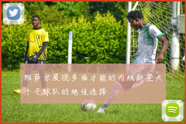 维萨尔展现多面才能的内线新星大个子球队的绝佳选择