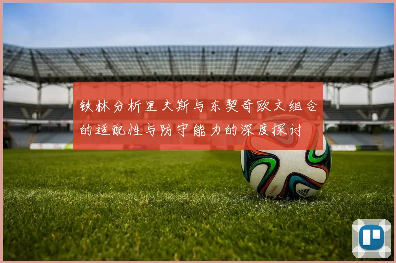 铁林分析里夫斯与东契奇欧文组合的适配性与防守能力的深度探讨